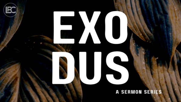 Exodus 1:8-22 Image