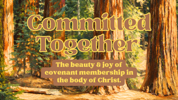Godly Adornment Image